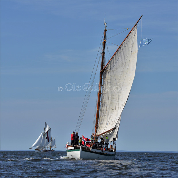 Seilskøytene Kyrre og Ryvingen