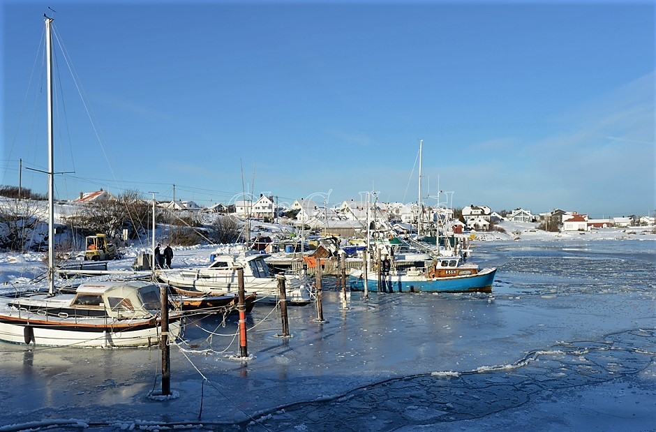 Viker Asmaløy