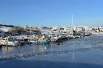 Viker Asmaløy