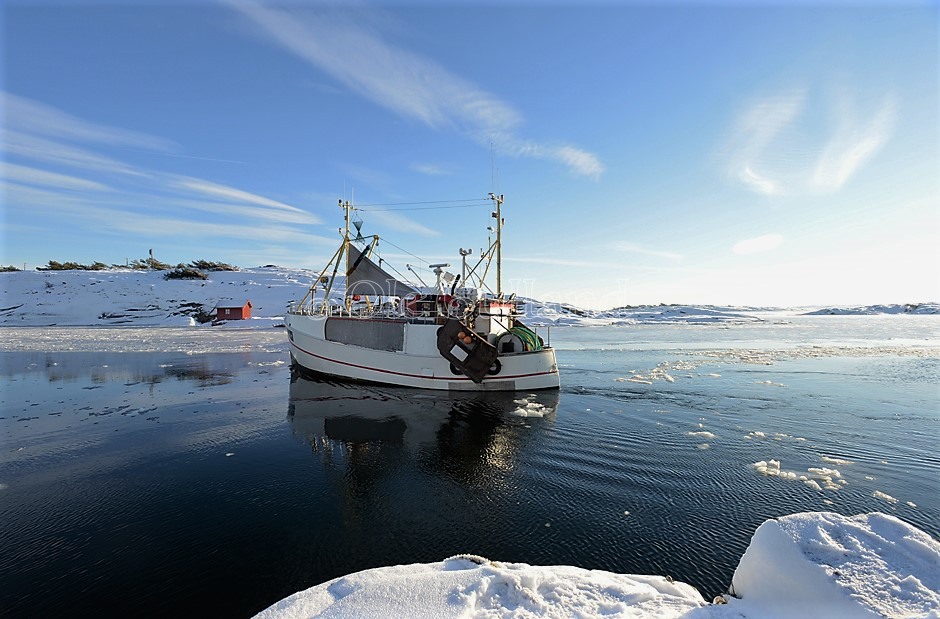 Fiskeskøyte på vei inn Utgårdkilen