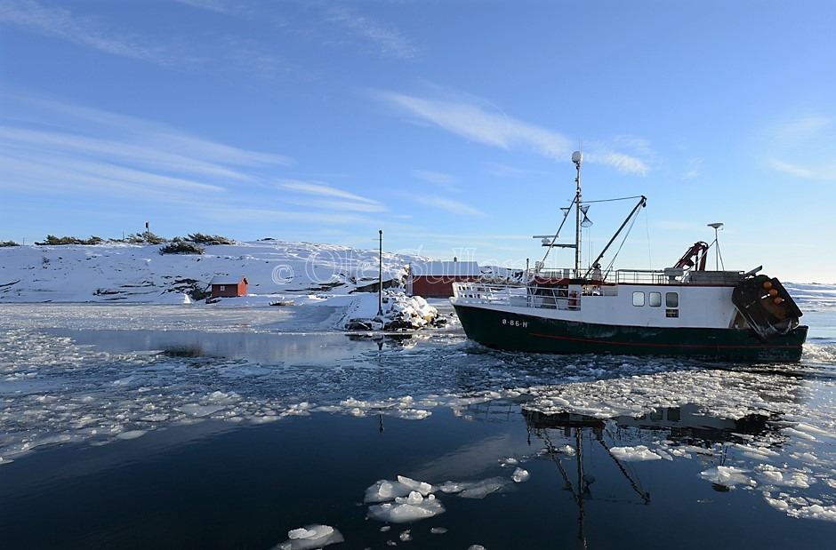 Fiskeskøyte på vei inn Utgårdkilen