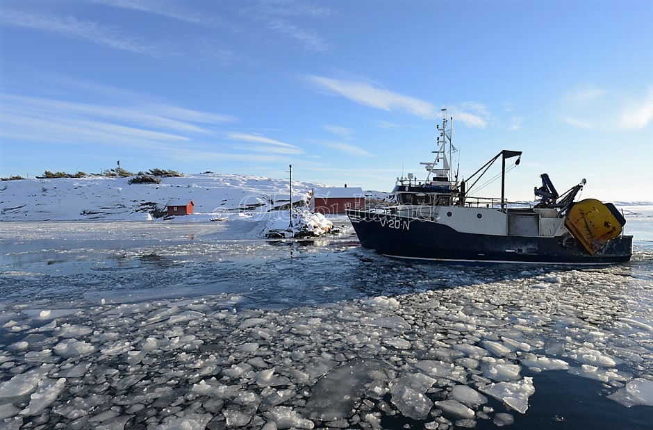 Fiskeskøyte på vei inn Utgårdkilen