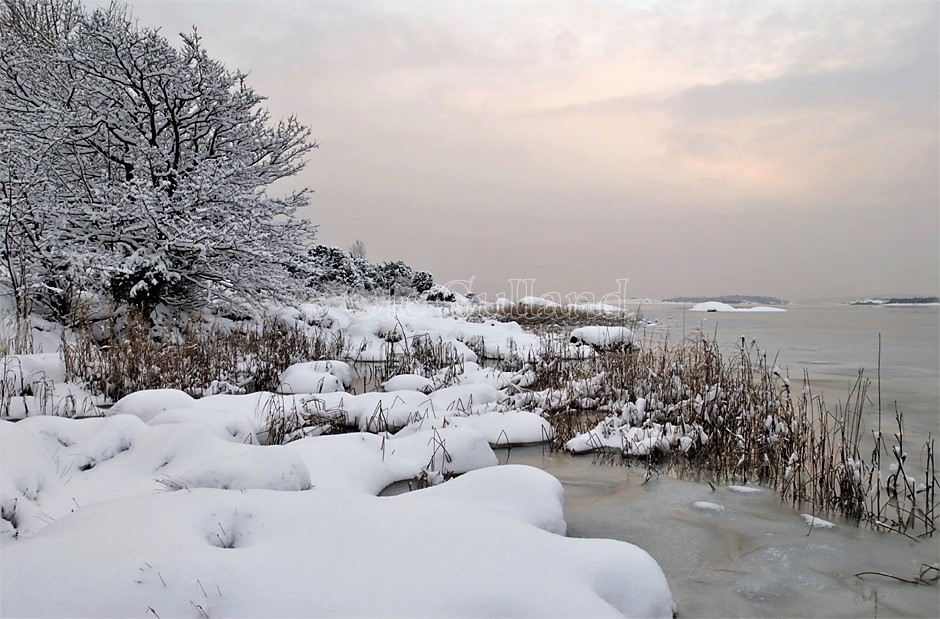 Storenga , Torsnes