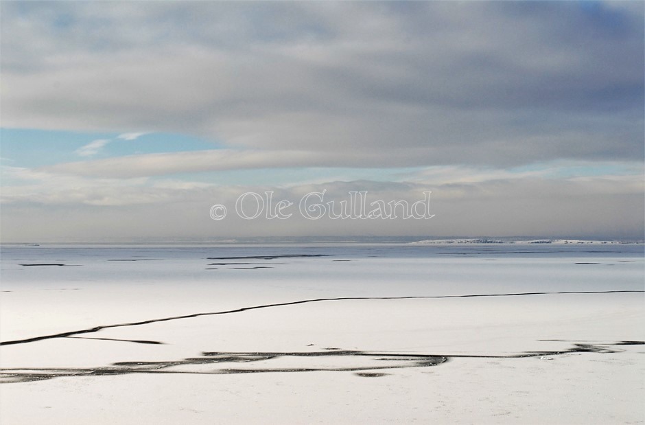 Pernesodden , Øra naturreservat