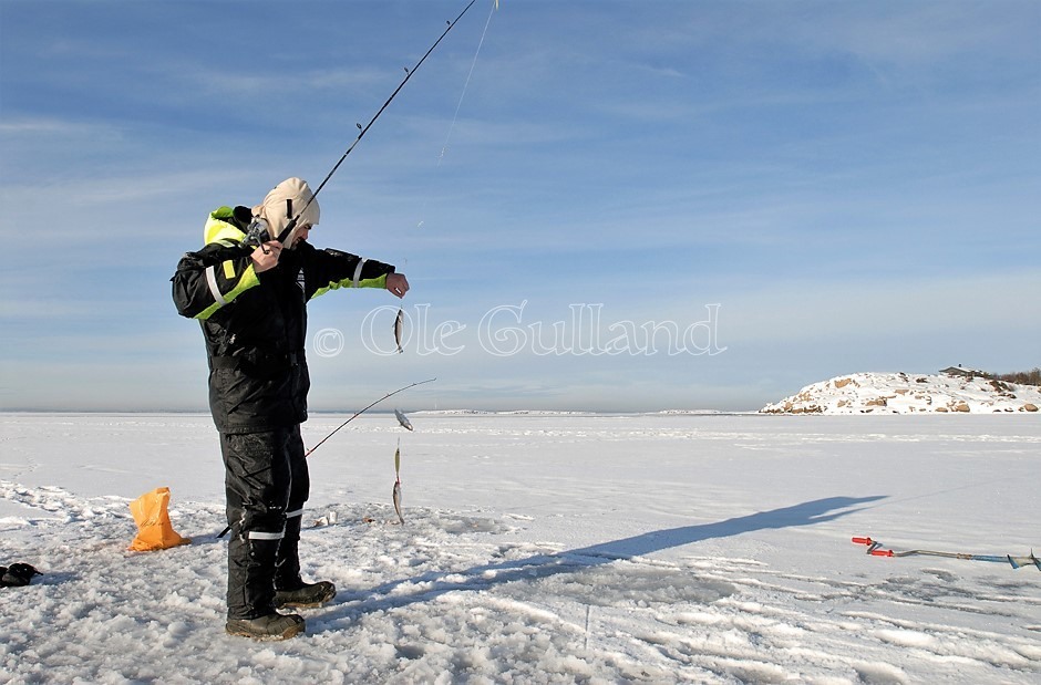 Isfiske i Lerviksundet