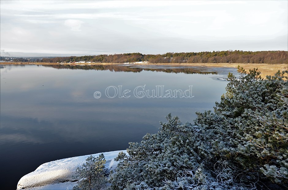 Øra naturreservat