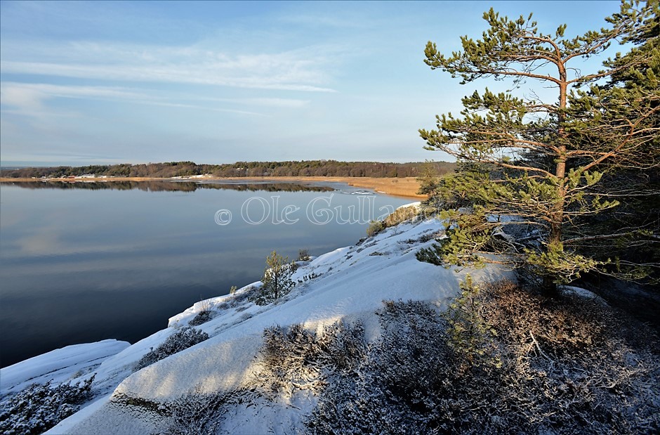 Øra naturreservat