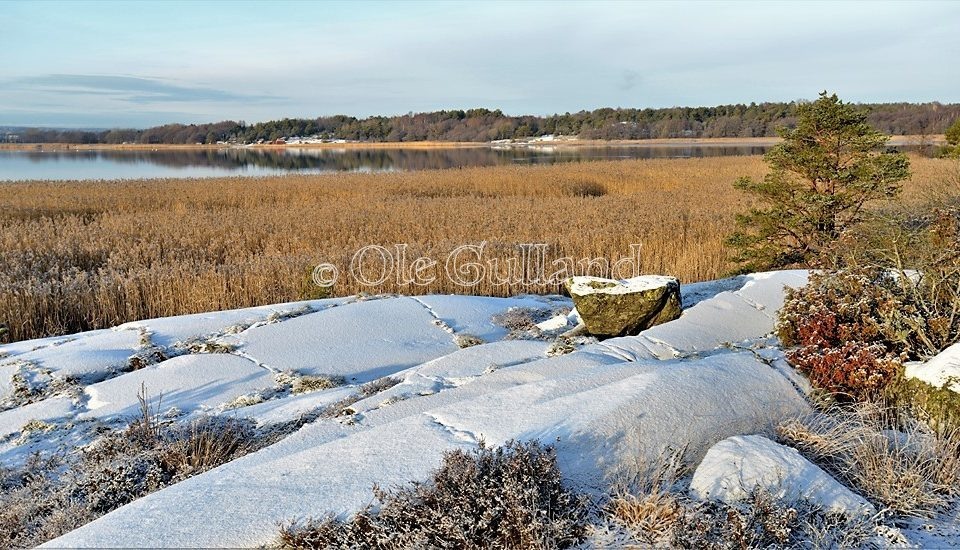 Øra naturreservat