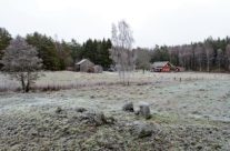 Husmannsplassen Langvik