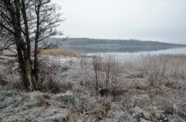 Øra naturreservat