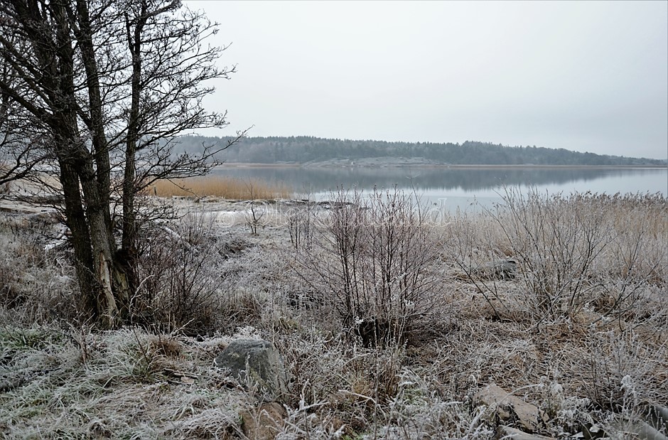 Øra naturreservat