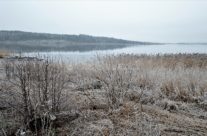 Øra naturresrvat