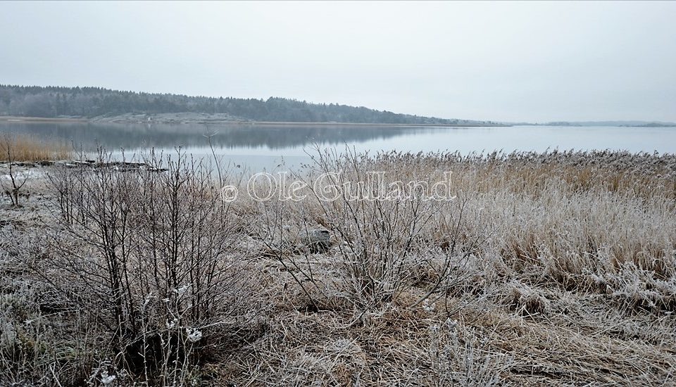 Øra naturresrvat