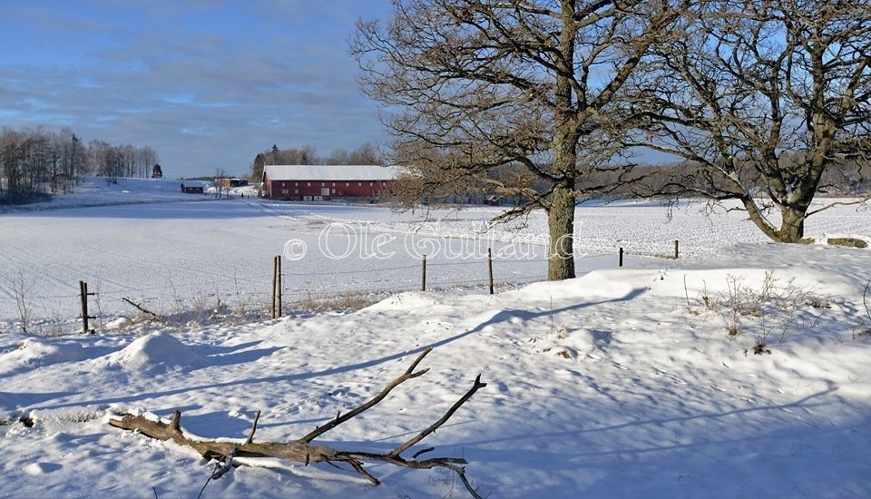 Kjølberg herregård , Onsøy