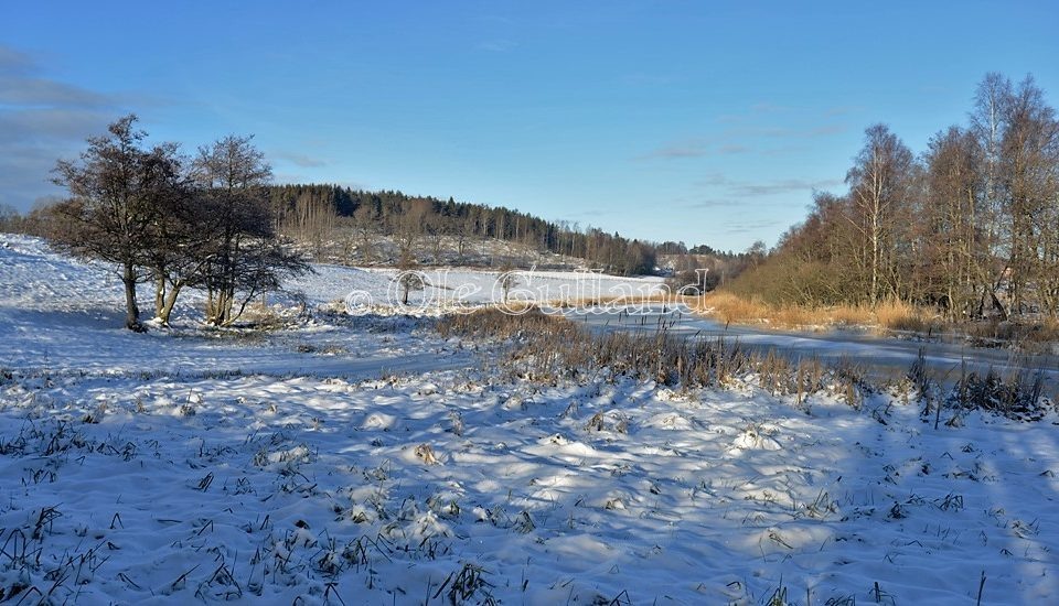 Seutelva ved Kjølberg , Onsøy