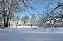 Vintermotiv fra Elingård , Onsøy