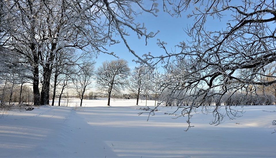 Vintermotiv fra Elingård , Onsøy