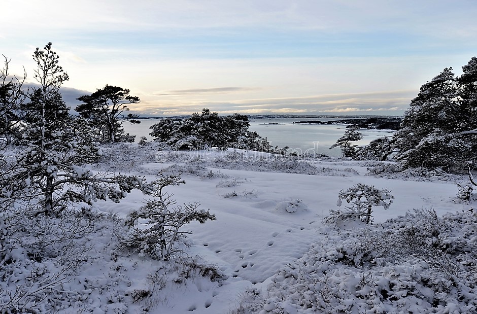 Fjellparti øst for Langvikkilen , Torsnes