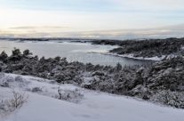 Fjellparti øst for Langvikkilen , Torsnes