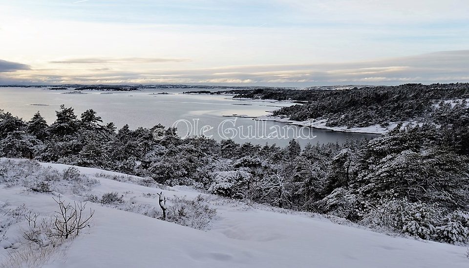 Fjellparti øst for Langvikkilen , Torsnes