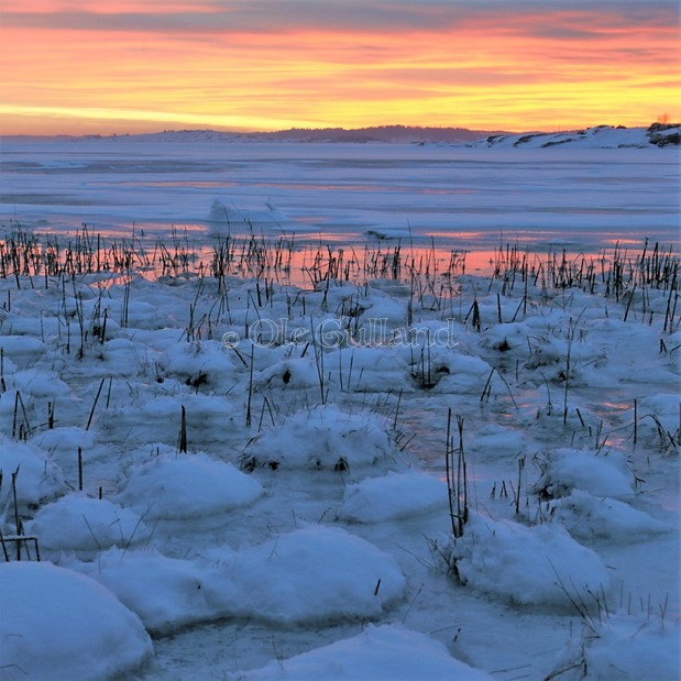 Vinterkveld ved Storenga , Torsnes