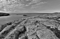 Vesterøy