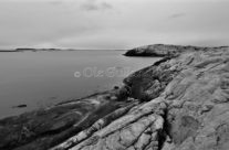 Vesterøy