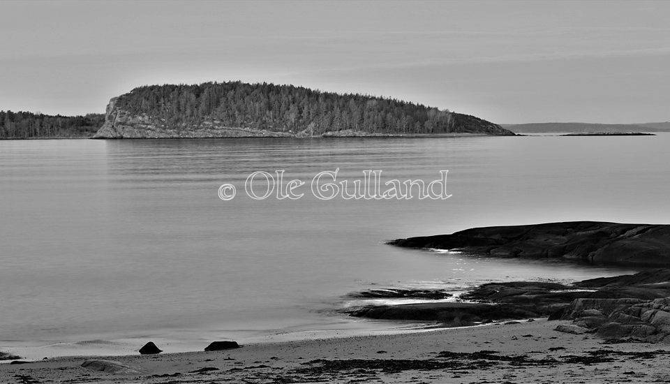 Måneskinn ved Solviken , Engelsviken