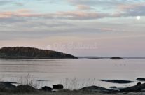 Rauerkælven ved Solviken , Engelsviken