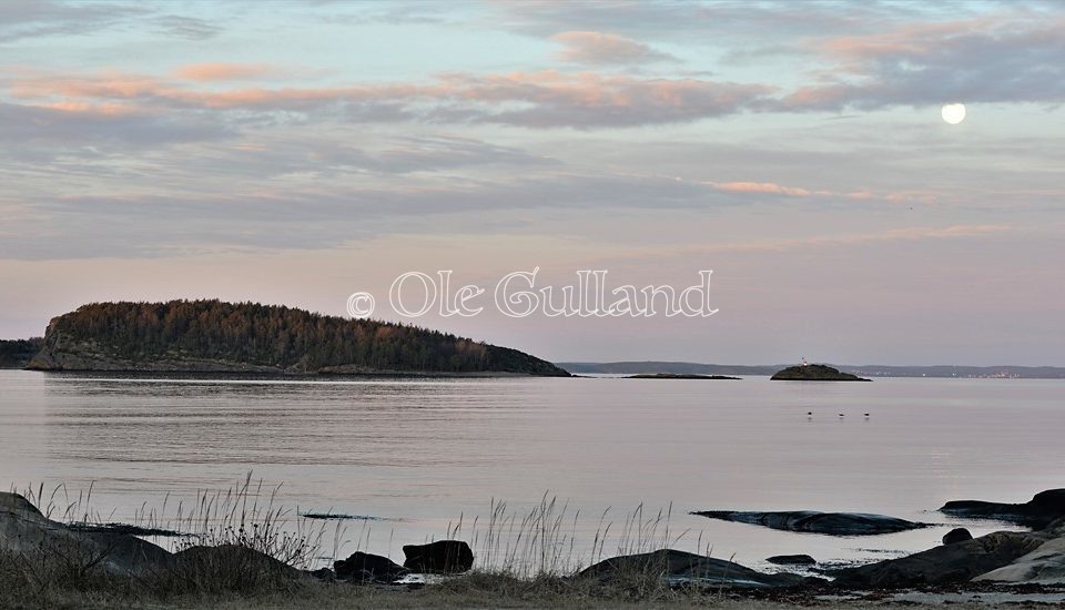 Rauerkælven ved Solviken , Engelsviken