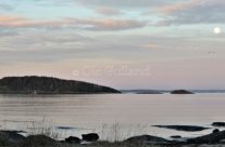 Rauerkælven ved Solviken , Engelsviken