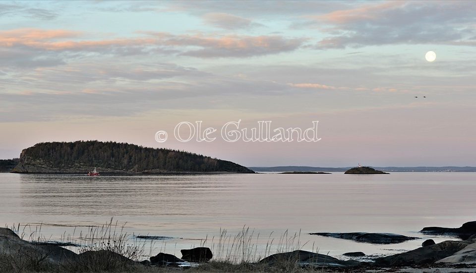 Rauerkælven ved Solviken , Engelsviken