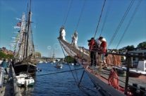 The tall ships races i Fredrikstad