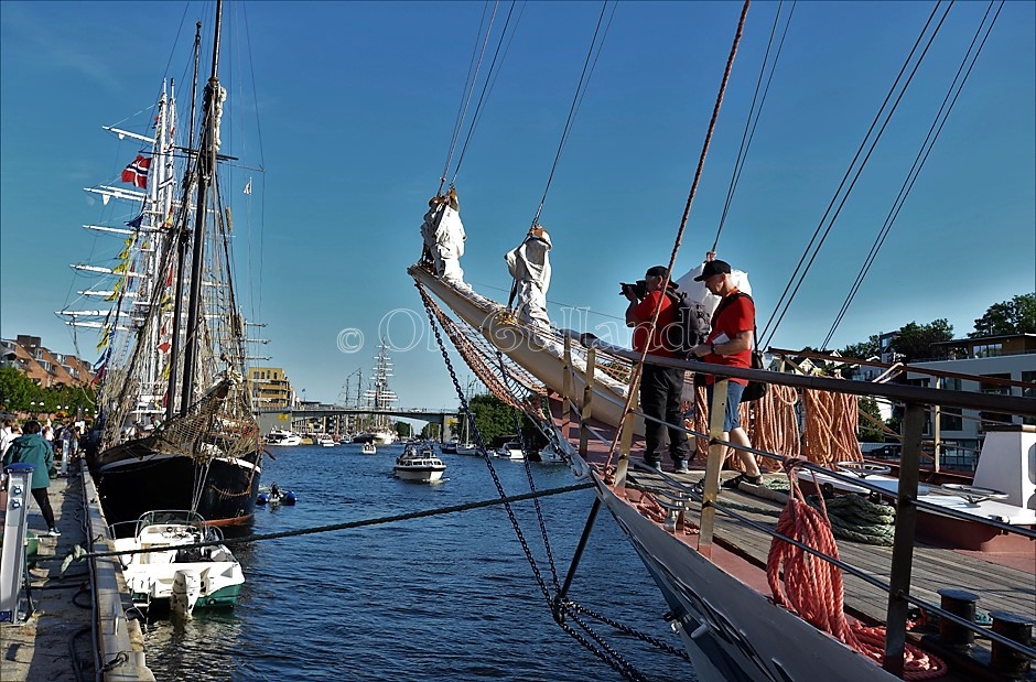 The tall ships races i Fredrikstad