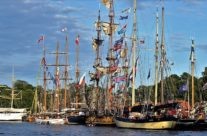 The tall ships races i Fredrikstad