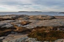 Vesterøy