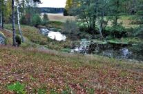 Høst ved Mølledammen , Elingård