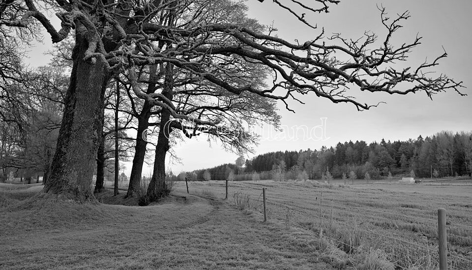 Kulturlandskap ved Elingård