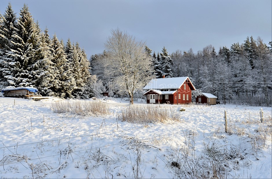 Husmannsplassen Langvik