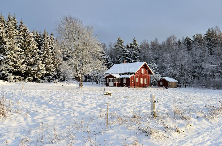 Husmannsplassen Langvik