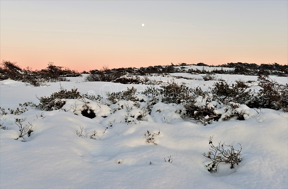 Vinterkveld på Vesterøy