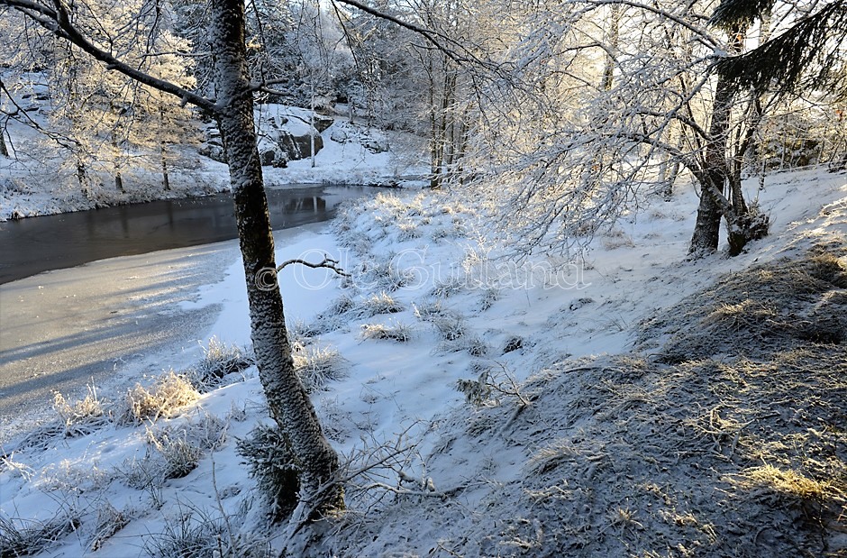 Vinter ved Mølledammen