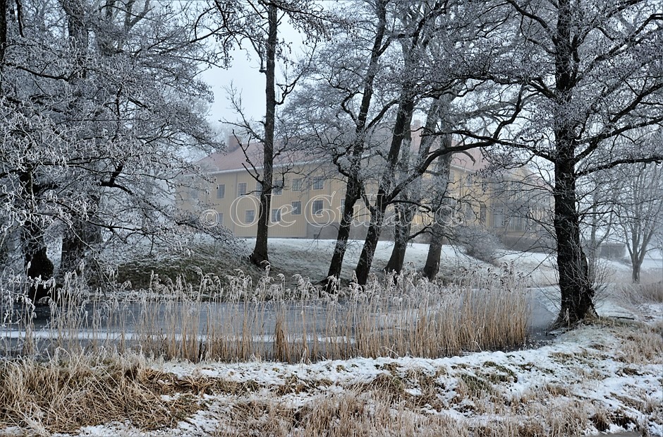 En kald vinterdag ved Elingård