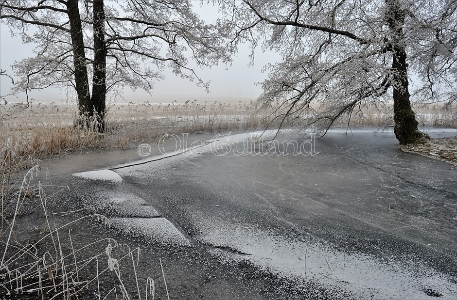 Vinter ved Elingård