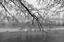 Frostkledde greiner