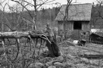 Uthus i forfall