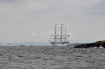 Statsraad Lehmkuhl passerer Engelsviken på vei til Skjærhalden