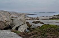 Vesterøy