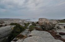 Vesterøy
