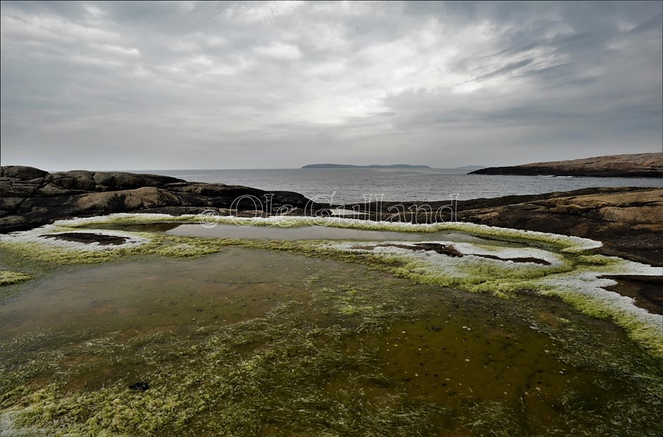 Kuvautangen , Vesterøy